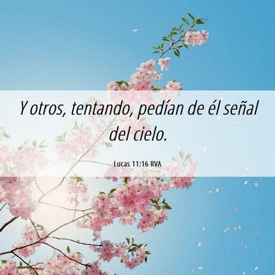Picture 06 - Lucas 11:16 RVA - Y otros, tentando, pedían de él señal del - Bible Verse Picture