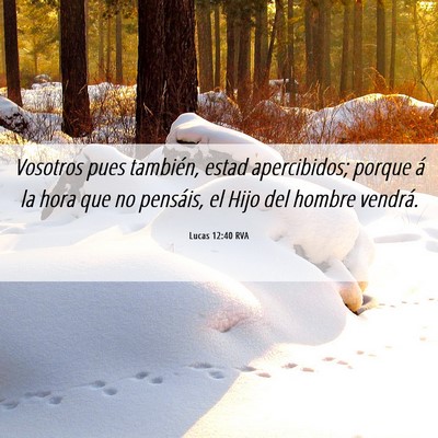 Picture 06 - Lucas 12:40 RVA - Vosotros pues también, estad apercibidos; porque - Bible Verse Picture