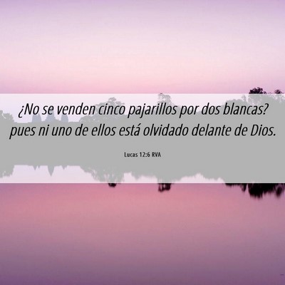Picture 06 - Lucas 12:6 RVA - ¿No se venden cinco pajarillos por dos blancas? - Bible Verse Picture