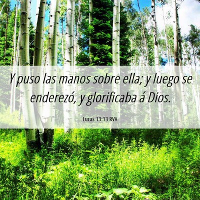 Picture 06 - Lucas 13:13 RVA - Y puso las manos sobre ella; y luego se - Bible Verse Picture