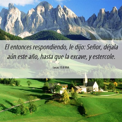 Picture 06 - Lucas 13:8 RVA - El entonces respondiendo, le dijo: Señor, - Bible Verse Picture