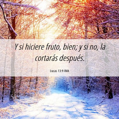 Picture 06 - Lucas 13:9 RVA - Y si hiciere fruto, bien; y si no, la cortarás - Bible Verse Picture