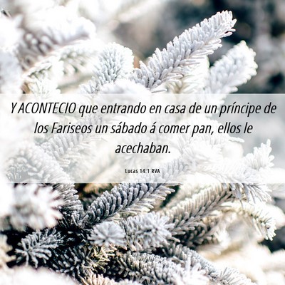 Picture 06 - Lucas 14:1 RVA - Y ACONTECIO que entrando en casa de un príncipe - Bible Verse Picture