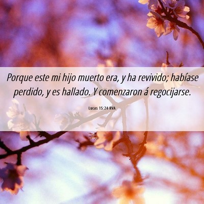 Picture 06 - Lucas 15:24 RVA - Porque este mi hijo muerto era, y ha revivido; - Bible Verse Picture