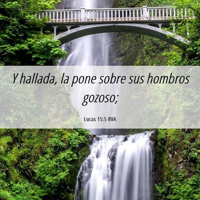 Picture 06 - Lucas 15:5 RVA - Y hallada, la pone sobre sus hombros - Bible Verse Picture