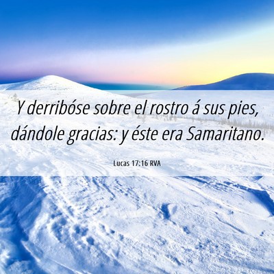 Picture 06 - Lucas 17:16 RVA - Y derribóse sobre el rostro á sus pies, - Bible Verse Picture