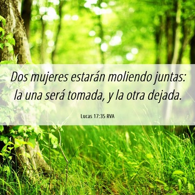 Picture 06 - Lucas 17:35 RVA - Dos mujeres estarán moliendo juntas: la una - Bible Verse Picture