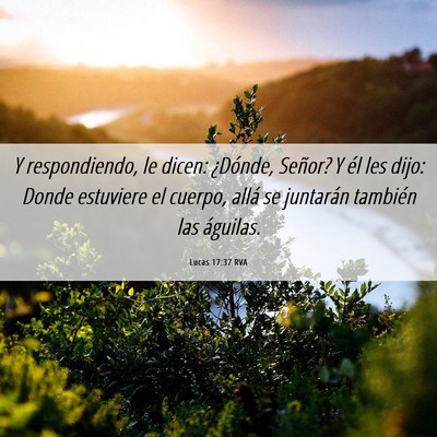 Picture 06 - Lucas 17:37 RVA - Y respondiendo, le dicen: ¿Dónde, Señor? Y él - Bible Verse Picture