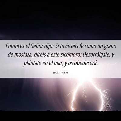 Picture 06 - Lucas 17:6 RVA - Entonces el Señor dijo: Si tuvieseis fe como un - Bible Verse Picture