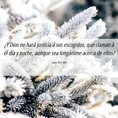 Picture 06 - Lucas 18:7 RVA - ¿Y Dios no hará justicia á sus escogidos, que - Bible Verse Picture