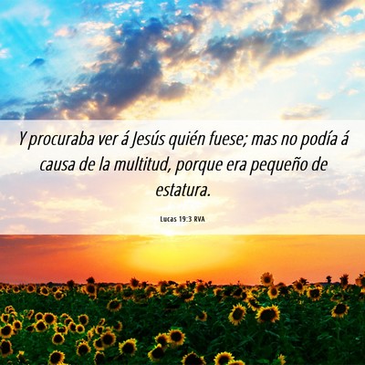 Picture 06 - Lucas 19:3 RVA - Y procuraba ver á Jesús quién fuese; mas no - Bible Verse Picture