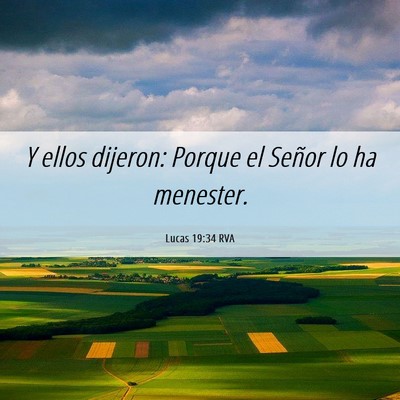 Picture 06 - Lucas 19:34 RVA - Y ellos dijeron: Porque el Señor lo ha - Bible Verse Picture