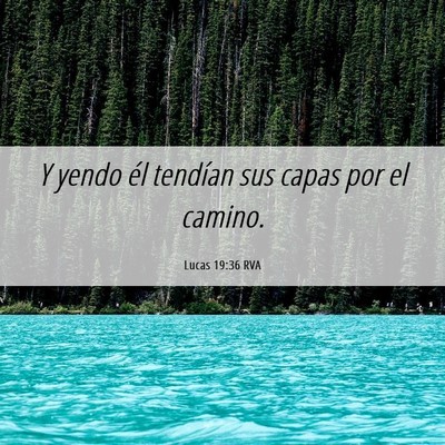 Picture 06 - Lucas 19:36 RVA - Y yendo él tendían sus capas por el - Bible Verse Picture