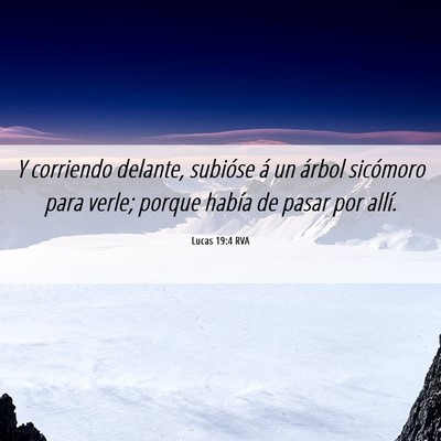 Picture 06 - Lucas 19:4 RVA - Y corriendo delante, subióse á un árbol - Bible Verse Picture