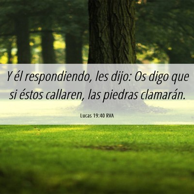 Picture 06 - Lucas 19:40 RVA - Y él respondiendo, les dijo: Os digo que si - Bible Verse Picture