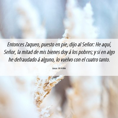 Picture 06 - Lucas 19:8 RVA - Entonces Zaqueo, puesto en pie, dijo al Señor: - Bible Verse Picture