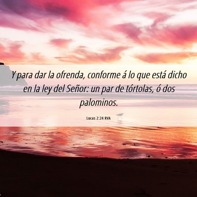 Picture 06 - Lucas 2:24 RVA - Y para dar la ofrenda, conforme á lo que está - Bible Verse Picture