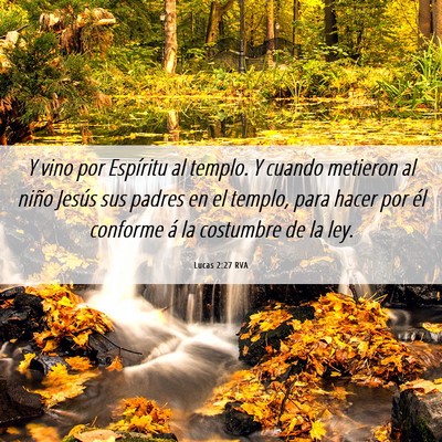 Picture 06 - Lucas 2:27 RVA - Y vino por Espíritu al templo. Y cuando metieron - Bible Verse Picture