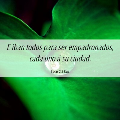 Picture 06 - Lucas 2:3 RVA - E iban todos para ser empadronados, cada uno á - Bible Verse Picture