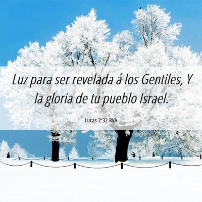 Picture 06 - Lucas 2:32 RVA - Luz para ser revelada á los Gentiles, Y la - Bible Verse Picture