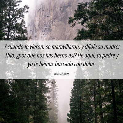 Picture 06 - Lucas 2:48 RVA - Y cuando le vieron, se maravillaron; y díjole su - Bible Verse Picture
