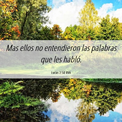 Picture 06 - Lucas 2:50 RVA - Mas ellos no entendieron las palabras que les - Bible Verse Picture