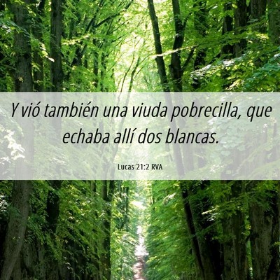 Picture 06 - Lucas 21:2 RVA - Y vió también una viuda pobrecilla, que echaba - Bible Verse Picture