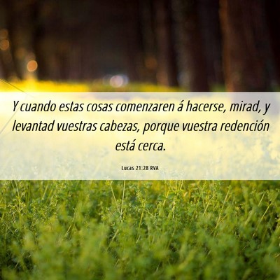 Picture 06 - Lucas 21:28 RVA - Y cuando estas cosas comenzaren á hacerse, - Bible Verse Picture