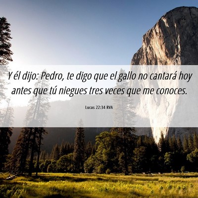 Picture 06 - Lucas 22:34 RVA - Y él dijo: Pedro, te digo que el gallo no - Bible Verse Picture