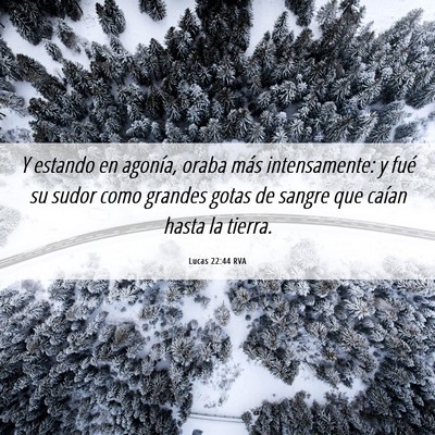 Picture 06 - Lucas 22:44 RVA - Y estando en agonía, oraba más intensamente: y - Bible Verse Picture