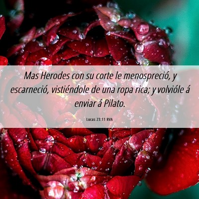 Picture 06 - Lucas 23:11 RVA - Mas Herodes con su corte le menospreció, y - Bible Verse Picture
