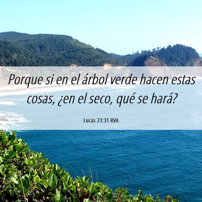 Picture 06 - Lucas 23:31 RVA - Porque si en el árbol verde hacen estas cosas, - Bible Verse Picture