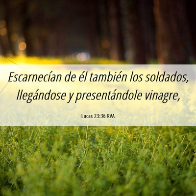 Picture 06 - Lucas 23:36 RVA - Escarnecían de él también los soldados, - Bible Verse Picture