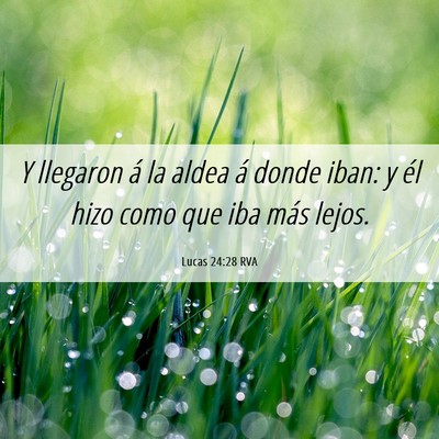 Picture 06 - Lucas 24:28 RVA - Y llegaron á la aldea á donde iban: y él hizo - Bible Verse Picture