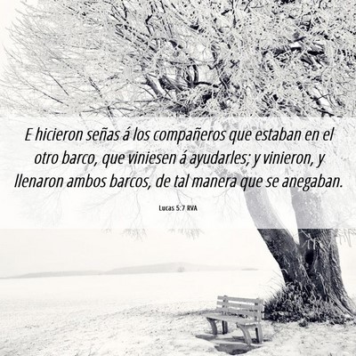 Picture 06 - Lucas 5:7 RVA - E hicieron señas á los compañeros que estaban - Bible Verse Picture