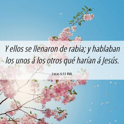 Picture 06 - Lucas 6:11 RVA - Y ellos se llenaron de rabia; y hablaban los unos - Bible Verse Picture