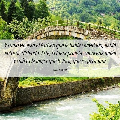 Picture 06 - Lucas 7:39 RVA - Y como vió esto el Fariseo que le había - Bible Verse Picture