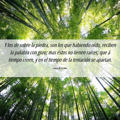 Picture 06 - Lucas 8:13 RVA - Y los de sobre la piedra, son los que habiendo - Bible Verse Picture
