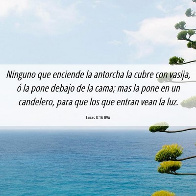 Picture 06 - Lucas 8:16 RVA - Ninguno que enciende la antorcha la cubre con - Bible Verse Picture
