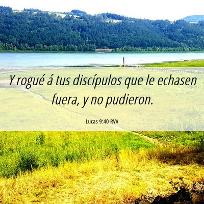 Picture 06 - Lucas 9:40 RVA - Y rogué á tus discípulos que le echasen fuera, - Bible Verse Picture