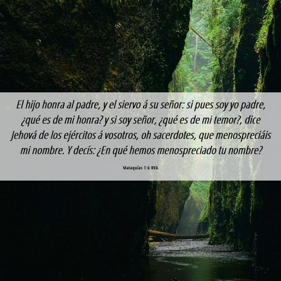 Picture 06 - Malaquías 1:6 RVA - El hijo honra al padre, y el siervo á su señor: - Bible Verse Picture