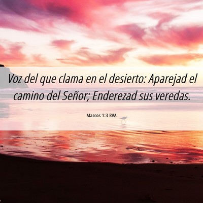 Picture 06 - Marcos 1:3 RVA - Voz del que clama en el desierto: Aparejad el - Bible Verse Picture