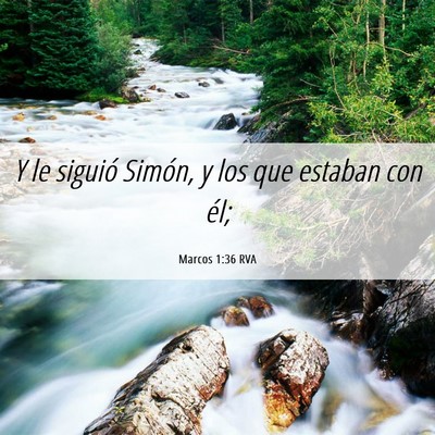 Picture 06 - Marcos 1:36 RVA - Y le siguió Simón, y los que estaban con - Bible Verse Picture