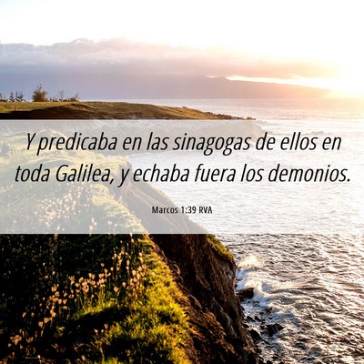 Picture 06 - Marcos 1:39 RVA - Y predicaba en las sinagogas de ellos en toda - Bible Verse Picture