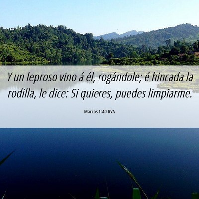 Picture 06 - Marcos 1:40 RVA - Y un leproso vino á él, rogándole; é hincada - Bible Verse Picture