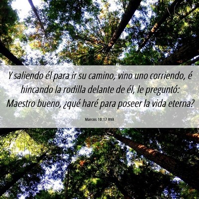 Picture 06 - Marcos 10:17 RVA - Y saliendo él para ir su camino, vino uno - Bible Verse Picture