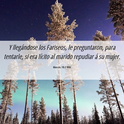 Picture 06 - Marcos 10:2 RVA - Y llegándose los Fariseos, le preguntaron, para - Bible Verse Picture