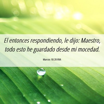 Picture 06 - Marcos 10:20 RVA - El entonces respondiendo, le dijo: Maestro, todo - Bible Verse Picture