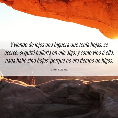 Picture 06 - Marcos 11:13 RVA - Y viendo de lejos una higuera que tenía hojas, - Bible Verse Picture