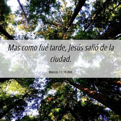 Picture 06 - Marcos 11:19 RVA - Mas como fué tarde, Jesús salió de la - Bible Verse Picture
